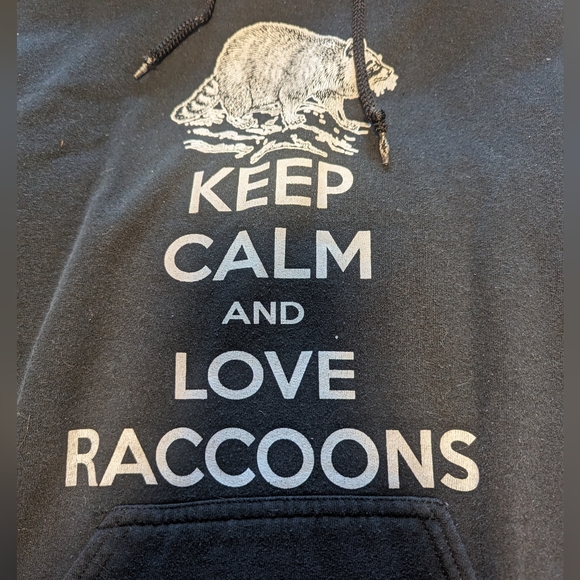 Gildan raccoon hooded sweatshirt size S - Picture 4 of 5